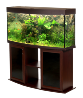 furniture & aquarium free transparent png image.