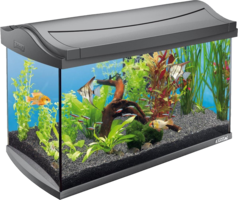 furniture & aquarium free transparent png image.