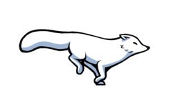 animals & Arctic fox free transparent png image.