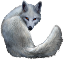 animals & Arctic fox free transparent png image.