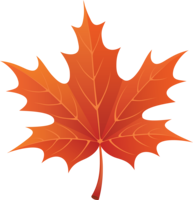 nature & Autumn leaves free transparent png image.