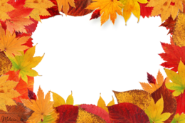 nature & autumn leaves free transparent png image.