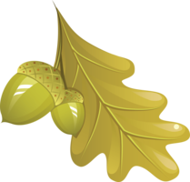 nature & autumn leaves free transparent png image.