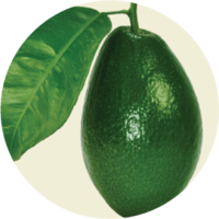 fruits & Avocado free transparent png image.