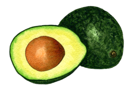 fruits & Avocado free transparent png image.