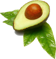 fruits & Avocado free transparent png image.