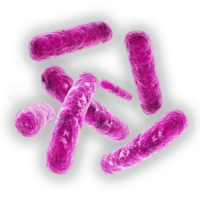 miscellaneous & Bacteria free transparent png image.