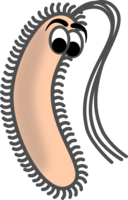 miscellaneous & Bacteria free transparent png image.