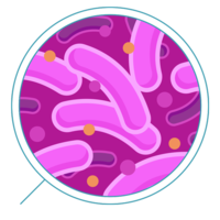 miscellaneous & Bacteria free transparent png image.