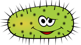 miscellaneous & bacteria free transparent png image.