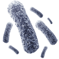 miscellaneous & Bacteria free transparent png image.