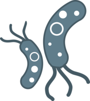 miscellaneous & bacteria free transparent png image.