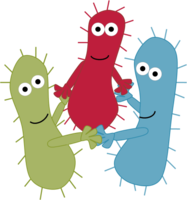 miscellaneous & bacteria free transparent png image.