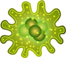 miscellaneous & bacteria free transparent png image.