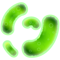 miscellaneous & bacteria free transparent png image.