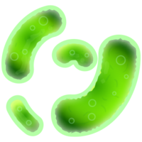 miscellaneous & Bacteria free transparent png image.