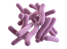 miscellaneous & Bacteria free transparent png image.