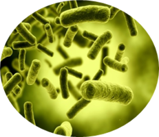 miscellaneous & bacteria free transparent png image.