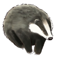 animals & Badger free transparent png image.