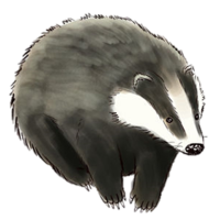 animals & badger free transparent png image.