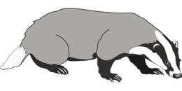 animals & badger free transparent png image.