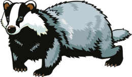 animals & badger free transparent png image.