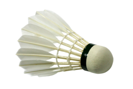 sport & badminton free transparent png image.