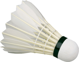 sport & badminton free transparent png image.