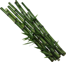 nature & Bamboo free transparent png image.