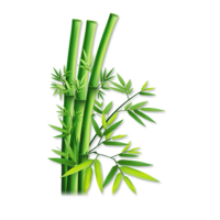 nature & Bamboo free transparent png image.