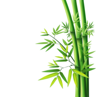 nature & bamboo free transparent png image.