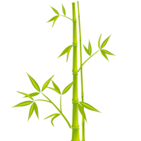 nature & bamboo free transparent png image.