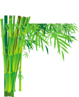 nature & bamboo free transparent png image.