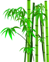 nature & bamboo free transparent png image.