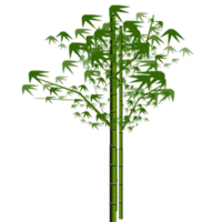 nature & Bamboo free transparent png image.