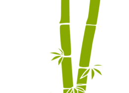 nature & Bamboo free transparent png image.