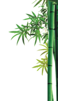 nature & bamboo free transparent png image.