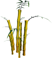 nature & Bamboo free transparent png image.
