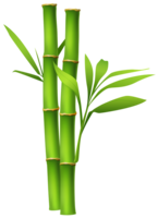 nature & Bamboo free transparent png image.