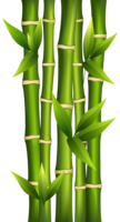 nature & bamboo free transparent png image.