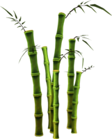 nature & bamboo free transparent png image.