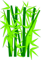 nature & Bamboo free transparent png image.