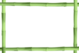 nature & Bamboo free transparent png image.