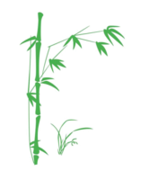 nature & Bamboo free transparent png image.