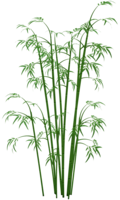 nature & Bamboo free transparent png image.
