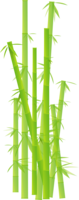 nature & Bamboo free transparent png image.