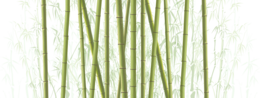 nature & Bamboo free transparent png image.