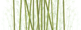 nature & bamboo free transparent png image.