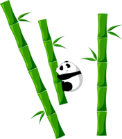 nature & Bamboo free transparent png image.