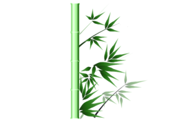 nature & Bamboo free transparent png image.